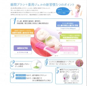 ﾙｼｪﾛﾎﾟｲﾝﾄｹｱｼﾞｪﾙ2