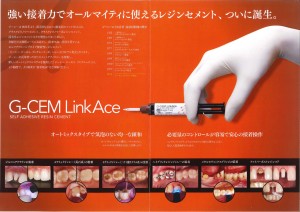 ｼﾞｰｼｰﾘﾝｸｴｰｽ2